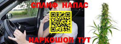 стаф Рязань