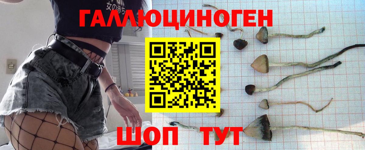 Галлюциногенные грибы Psilocybine cubensis  Галлюциногенные грибы Psilocybe  Сердобск  наркотики  Вход с VPN 